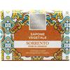 Omega Lady Venezia Sapone Vegetale Igienizzante Antibatterico Sorrento 100 gr