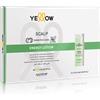Alfaparf Yellow Scalp Energy Lotion Trattamento Intesnsivo Anticaduta Per Capelli 6 Fiale Da 13 ml