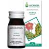 ARCANGEA SRL Nopal 60 capsule 500 mg