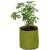 Haxnicks VIG080101 Vigo vasi, verde, 18 x 18 x 20 cm