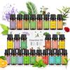 Aulaya Set di oli essenziali, 24 x 10 ml, 100% puro aroma naturale, rosmarino, incenso, ylang-ylang, bergamotto, patchouli, eucalipto, ecc., oli essenziali per diffusori, sapone, candele, umidificatori, SPA