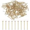 M METERXITY 200 Pcs Piccoli Chiodini 1.2mm x 20mm Chiodi Di Precisione | In Ottone, Con Testa Tonda, Per Legno/DIY Artigianato Decorativo/Accessori Per La Casa/Appendere Quadri