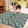 Biscpro Zerbino Ingresso Interno,80x120cm Zerbino Tappeto Ingresso Casa per porta interna o zerbino Esterno, Patio,Veranda,Soglia o portico,Ufficio