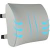 HomDSim Cuscino Lombare in Memory Foam Supporto per la Parte Bassa della Schiena Cuscino per Correggere la Postura Sedile Auto Casa Sedia da Ufficio