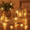 Sunshine smile Catena di luci a forma di cuore, 3M 20LED Catena di luci a forma di cuore per San Valentino, catena di luci per interni, decorazione per San Valentino, catena di luci esterna a batteria, tenda di luci