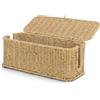Allhercom Cesto portaoggetti in vimini con coperchio, Cestino di carta igienica per serbatoio WC, Assorbenti e porta tamponi per bagno, Organizer rettangolare da cucina in tessuto, Scatola portaoggetti