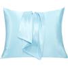 AliLeader Federa in raso 65 x 65 cm, simile alle federe in seta, set di 2, cura della pelle e dei capelli, federa per cuscino in raso (blu pallido, 65 x 65 cm)