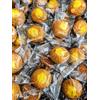 Generico Amaretti Morbidi Monoporzione Con Crema Al Limone Incartati Singolarmente Dolci Artigianali Snack Da Dessert E Fine Pasto Disponibili In Formato 850g E 1,7kg (1.7Kg)