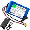 WSDAV Batteria di Ricambio al Litio da 24 V con Caricabatterie