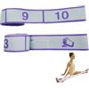 LAIYORA Fascia Resistenza 10 Livelli per Yoga Pilates Danza Adulti Bambini