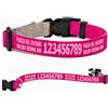 Pictogogo Collare per cane personalizzato con testo a scelta, colore del testo, telefono, indirizzo o messaggio di avviso (Fucsia, XS: 25-37 cm circonferenza collo)