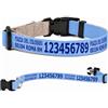 Pictogogo Collare per cane personalizzato con testo a scelta, colore del testo, telefono, indirizzo o messaggio di avviso (Azzurro, XS: 25-37 cm circonferenza collo)