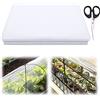 AFAIK Telo Protettivo per Serra 2 x 3m Telo Serra Trasparente Telo Trasparente per Serra , Addensare Resistente agli Strappi, Protezione UV, per Serra, aziende agricole, agricoltura, giardino (2 x 3m)