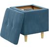 vidaXL Pouf Contenitore con Cuscino Blu 40 x 40 x 45 cm Velluto, Pouf Moderno e Resistente, Seduta Multifunzionale, Soluzione per riporre, Decor Minimalista, Vita organizzata