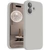 FireNova Custodia Magnetica per iPhone 17, 6.3, Natural Titanium