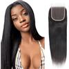 TNICE Human Hair Brazilian Unprocessed Straight Hair 4x4 Lace Front 20 inch | Lace Closure Straight Human Hair 4x4 HD Lace Front 100% Unprocessed Virgin Hair Extensions Ear to Ear for Women Natural Black