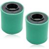 Haishine Set di 2 filtri aria per motori Briggs & Stratton 21B807 21B902 21B906 21B972 21B976 21B977 215802 217805 217807 217877 217902 217907 217972 217976; sostituisce OEM 5429K, 591383, 796032