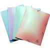 Exacompta - Rif. 55130E - Cartone da 25 camicie con elastici Candy Tidy - buste a 3 alette - in polipropilene - dimensioni 24 x 32 cm - per A4-4 colori azzurro, menta, parma e pesca