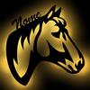 Namofactur Cavallo Lampada Led Luce Regali Regalo Bambina Amica personalizzato con Nome