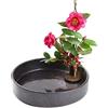 TONGYOU Vaso Ikebana in ceramica giapponese, nero, rotondo, per interni, piccolo, contenitore per composizioni floreali e rana A01