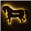 Namofactur Regali Cavallo per Ragazze con Personalizzato Lampada Luce di Notte Regalo