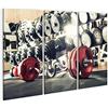 islandburner Quadri Moderni Peso in Palestra, Vicino Foto Orizzontale Stampa su Tela - Quadro Stampa su Tela Quadro EVC