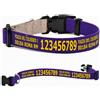 Pictogogo Collare per cane personalizzato con testo a scelta, colore del testo, telefono, indirizzo o messaggio di avviso (Viola, XS: 25-37 cm circonferenza collo)