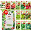 LW TORAF set di semi XXL 12 varietà premium di verdure, 2500 semi orto, per balcone, cucina, insalate, fragola, ravanello, erba cipollina, spinaci, rucola, rabarbaro,kit per la coltivazione di ortaggi