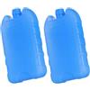 CORHAD Ice Blocks Riutilizzabili Blu PE 2 Pezzi per Lunch Box