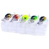 Limtula 5 Esche da Pesca in plastica Piccoli Crankbait Esche Artificiali a manovella con Scatola per Attrezzatura Accessori per la Pesca Esca realistica per pesciolini con Azione Nuoto