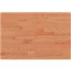 vidaXL Piano Bagno 60x40x2,5 cm Legno Massello di Faggio