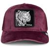 Goorin Bros. Velour Tiger Color Desire des - Desire One Size