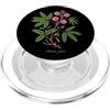 The Botany Bureau Sensibile Pianta illustrazione Mimosa pudica PopSockets PopGrip per MagSafe
