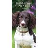 English Springer Spaniels Slim D 2019 (Diary Slim) (Tascabile)