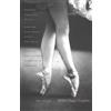 Akim Volynsky Ballet's Magic Kingdom (Tascabile)