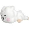 Herma Aurora, 61444, BT21 Official Merchandise, RJ Baby Mini Cuscino, Peluche, Bianco