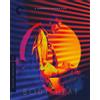Criterion Collection Body Heat - The Criterion Collection (4K UHD Blu-ray) J.A. Preston Ted Danson