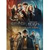 Studio Distribution Services Wizarding World 10-Film Collection - 20th Anniversary (DVD)