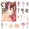 jatimdotin Fiori Secchi Naturali, Fiori Secchi Decorativi, Fiori Secchi Artigianato per Scrapbooking Candele Resina Carta Nozze Decorazione (Rosa Rossa)