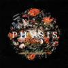 DayKoda Physis (Vinyl LP) 12" Album