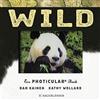 Dan Kainen Kathy Wollard Cornelia Panza Wild: Ein Photicular (Copertina rigida)