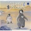Gemma Cary Two Little Penguins (Tascabile) Square Paperback Storybooks