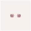 Stroili Orecchini Lobo Punto Luce Silver Rainbow Argento Rosato Cubic Zirconia