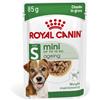 Royal Canin Mini Ageing 85 Gr Busta In Salsa Umido Per Cane