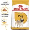 Royal Canin Pug Carlino Adult 7,5 kg per Cani