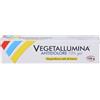 Pietrasanta Pharma Vegetallumina Antidolore Ibuprofene Gel 10% 120 g