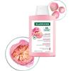 Klorane Shampoo Peonia Bio Lenisce Cute 400 ml