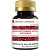 LABOTTEGADEGLIINTEGRATORI D - Mannosio e Cranberry 40% PAC Mirti Complex con Semi di Pompelmo, Uva Ursina e Vitamina C | 60 compresse 1 al dì | Mirtillo Rosso ad Alto Dosaggio