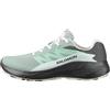 Salomon ALPHAGLIDE Gore-Tex Impermeabili Scarpe da Trail Running, Donna