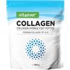 vit4ever Collagene in Polvere 1000 g (1 kg) - Tipi 1 e 3